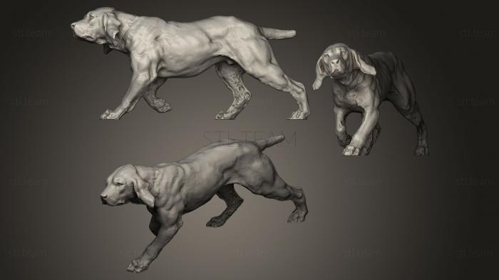 3D model walk dog (STL)
